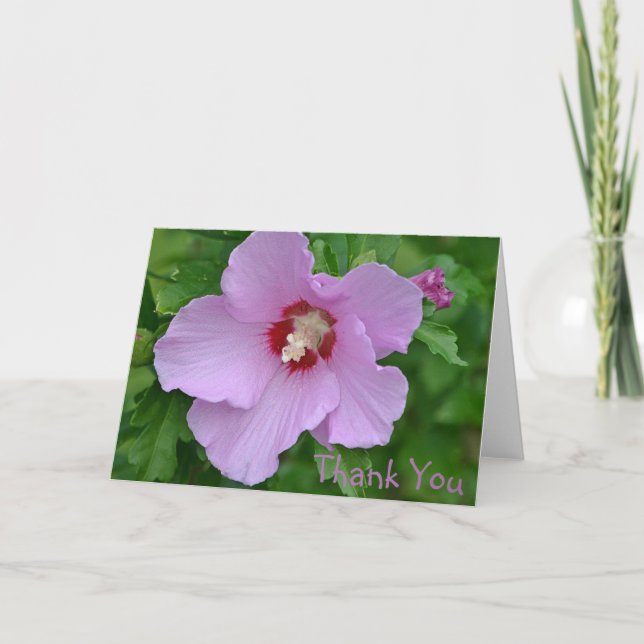 Rose Of Sharon Thank You Card (Front)