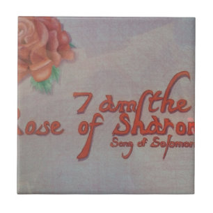 rose of sharon tile
