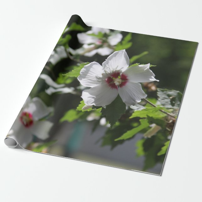 Rose of Sharon Wrapping Paper (Unrolled)
