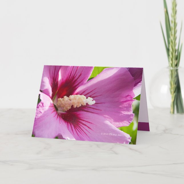 Rose of Sharron Card (Front)