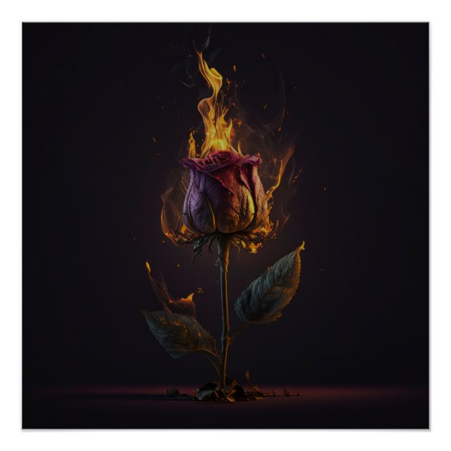 rose on fire poster (Front)