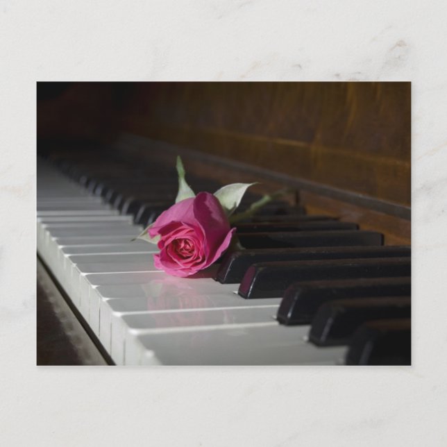 Rose on Piano Postcard (Front)