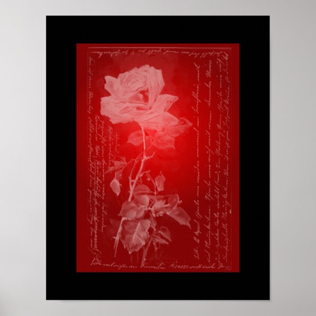 Rose on Red Poster (Front)