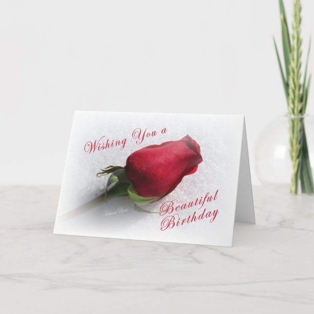Rose on the Snow - personalise  the message Card (Front)