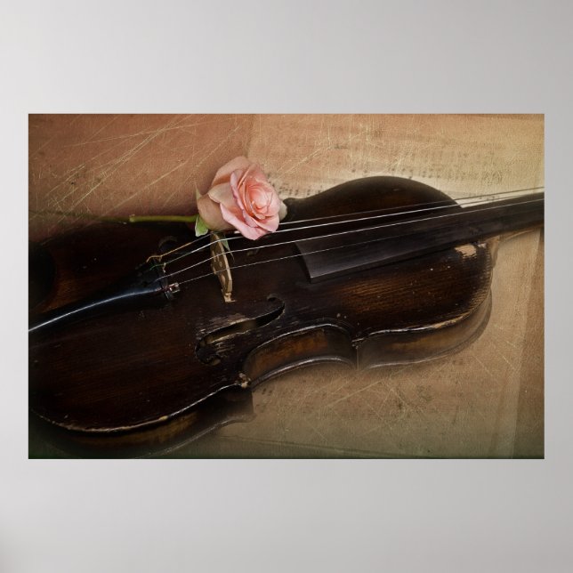 Rose on Violin Poster (Front)