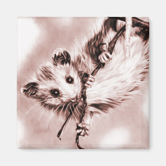 Rose Opossum Magnet