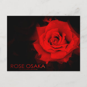 Rose Osaka:Postcard Postcard