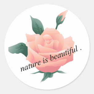 Rose (Peach) - Beautiful nature Classic Round Sticker