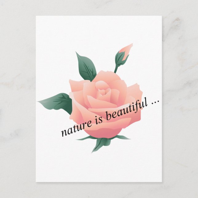 Rose (Peach) - Beautiful nature Postcard (Front)