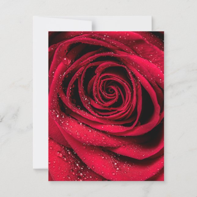 Rose Petals 1 Card (Front)