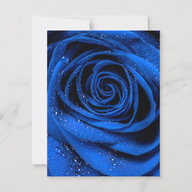 Rose Petals 3 Card (Front)