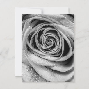 Rose Petals 5 Card