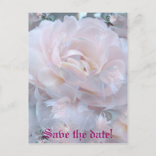 Rose petals announcement postcard