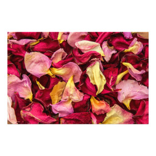 Rose Petals  Photo Print