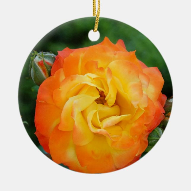 Rose Photo Ornament (Front)