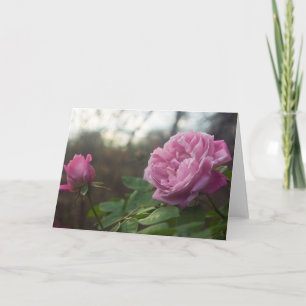 Rose Photo Standard, 5" x 7" Folded Greeting Card