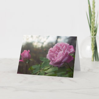 Rose Photo Standard, 5" x 7" Folded Greeting Card