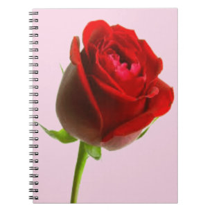 Rose & Pink Notebook
