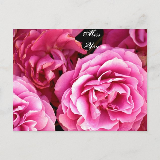 ROSE_ POSTCARD (Front)