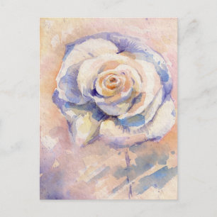 Rose Postcard