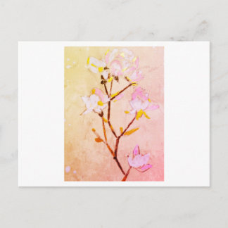 Rose Postcard