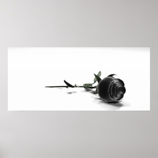 rose poster