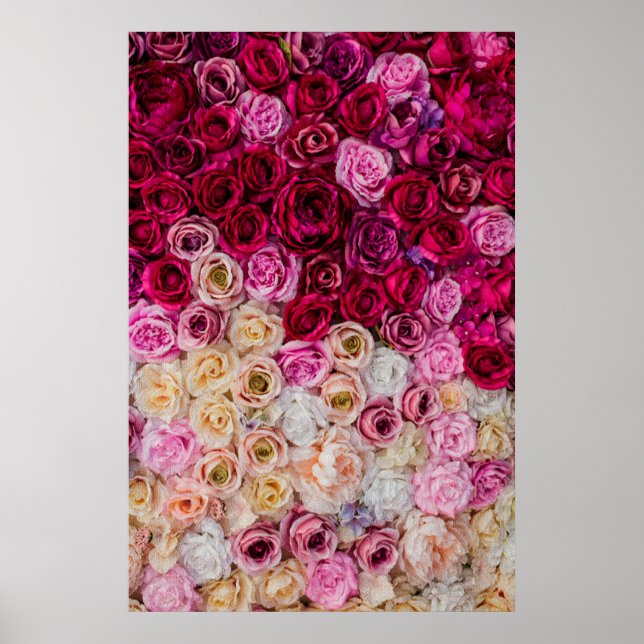 Rose Poster (Front)