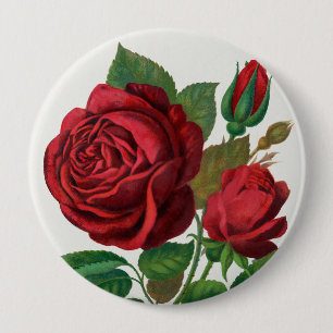 Rose Print Rochester Lithographing and Printing Co 10 Cm Round Badge