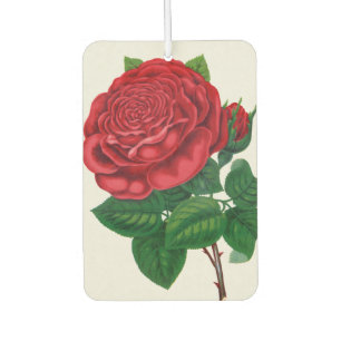 Rose Print Rochester Lithographing and Printing Co Car Air Freshener