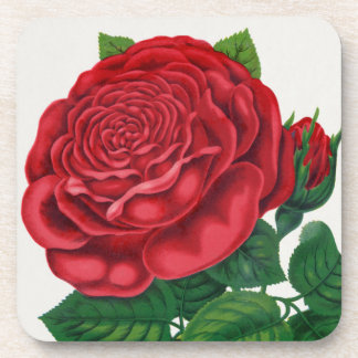 Rose Print Rochester Lithographing and Printing Co Coaster