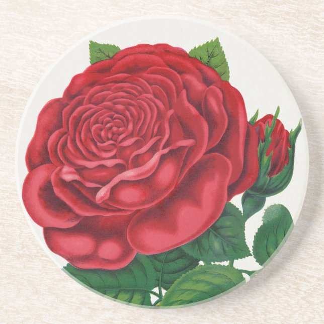Rose Print Rochester Lithographing and Printing Co Coaster (Front)