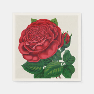 Rose Print Rochester Lithographing and Printing Co Napkin