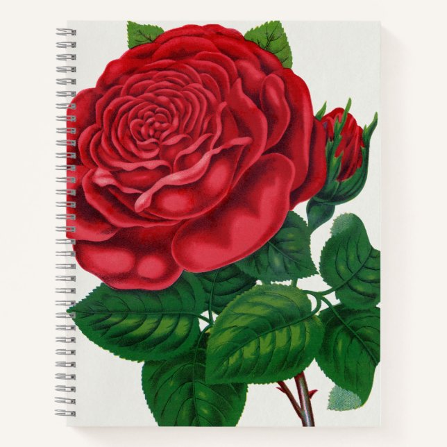 Rose Print Rochester Lithographing and Printing Co Notebook (Front)