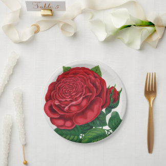 Rose Print Rochester Lithographing and Printing Co Paper Plate