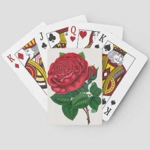 Rose Print Rochester Lithographing and Printing Co Playing Cards