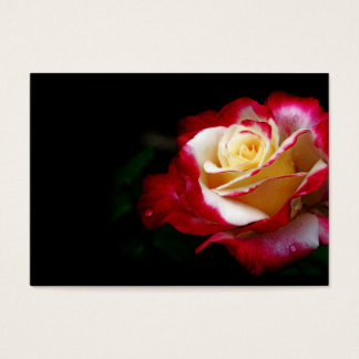 Rose profile card