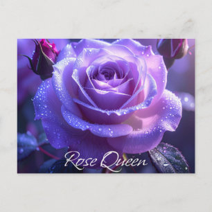 Rose Queen Postcard
