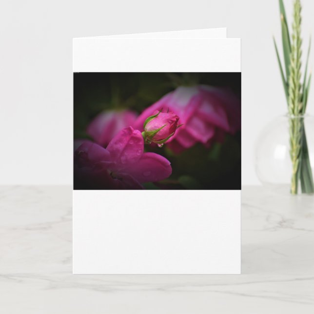 Rose & Raindrops, card (Front)