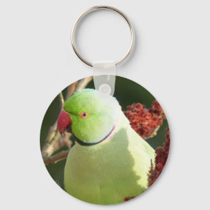 Rose-ringed parakeet key ring