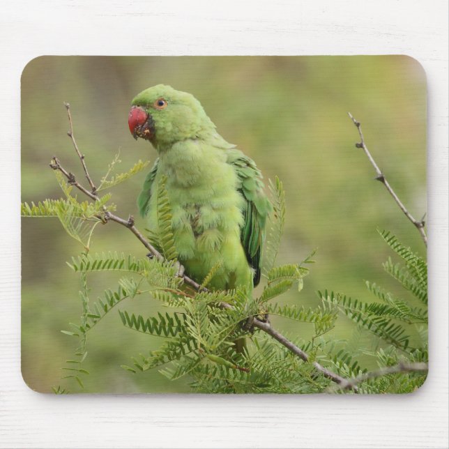 Rose-ringed Parakeet Mouse Mat (Front)