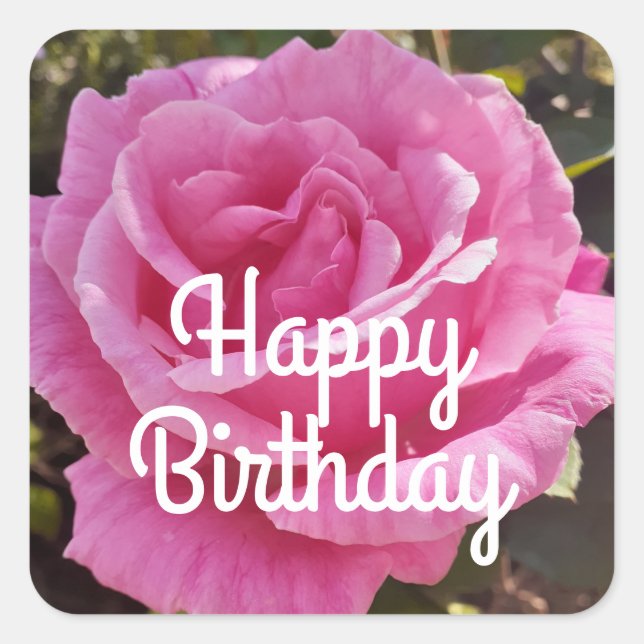 Rose Roses Pink Flower Floral Flowers Square Sticker (Front)