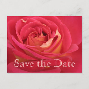Rose Save the date 50th Birthday Celebration - Announcement Postcard