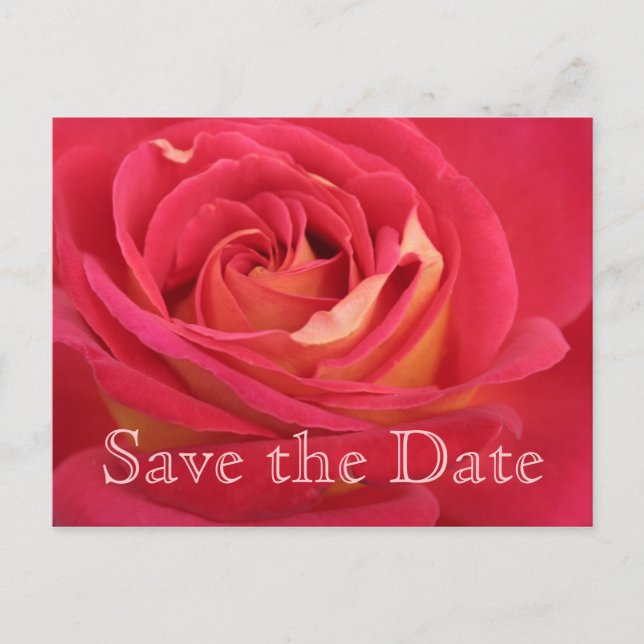 Rose Save the date 70th Birthday Celebration Postc Announcement Postcard (Front)