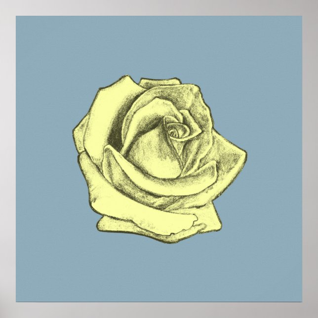 Rose Sketch Yellow Tint on Blue Poster (Front)