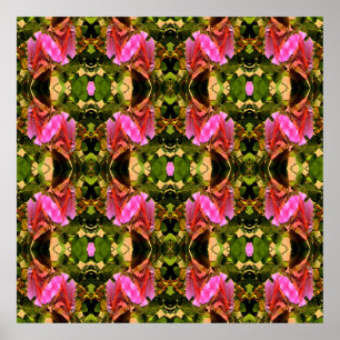 Rose Spectacular...... Poster