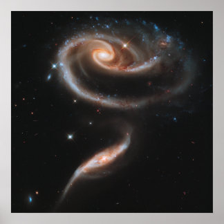 Rose Spiral Galaxies Poster
