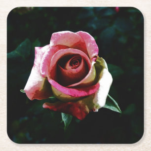 rose square paper coaster