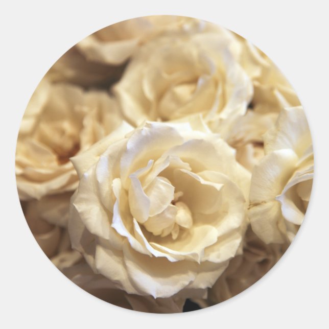 Rose sticker (Front)