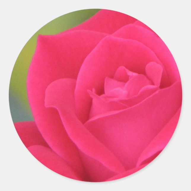 Rose sticker (Front)