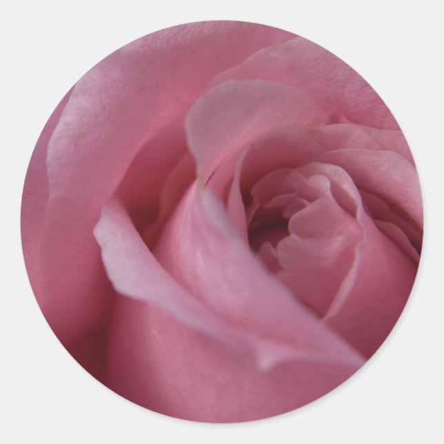 Rose Sticker (Front)